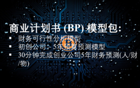 商业计划书 (BP) 财务模型